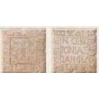 SINE DIE SIN C42K Toz Roman. Misto Sabbia 15x15